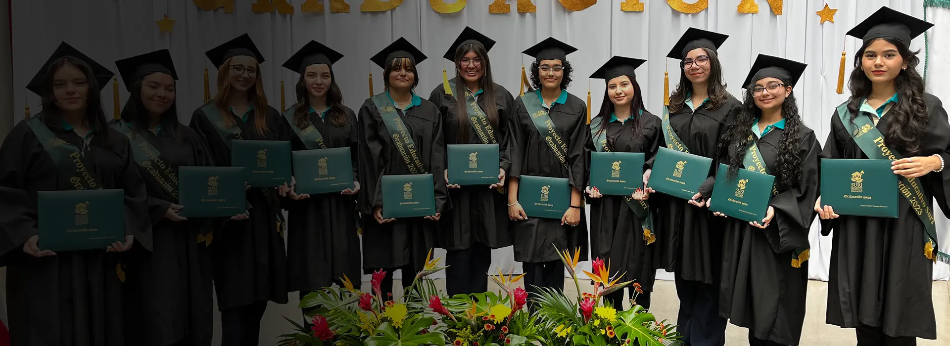 Becas suri